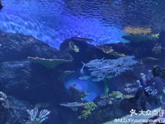 -华夏文旅海洋公园