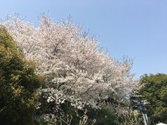 -苏州上方山国家森林公园