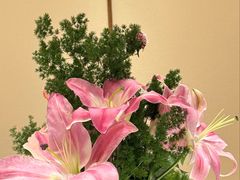 -黑宝石西餐厅(汇励99城市公园店)