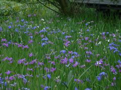 -西湖风景区-江洋畈生态公园