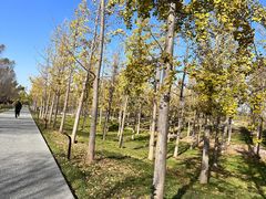 -汉长安城未央宫国家考古遗址公园