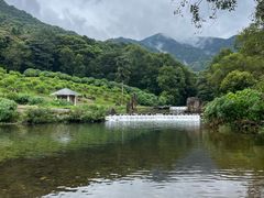 -广州市石门国家森林公园