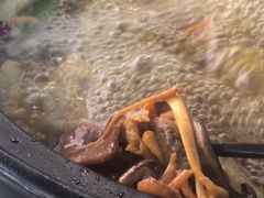 -七采菌园·野生菌石锅鱼(环城北路店)