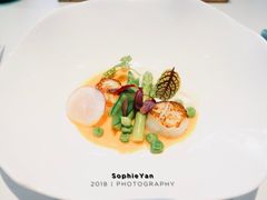 -蝶舍·MAISON PAPILLON