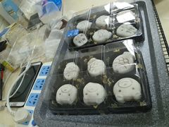 -皇子烘焙手作 prince baking(天河店)