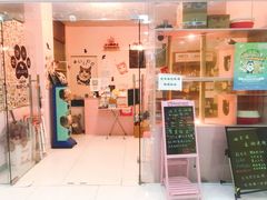-三花喵·撸猫购宠·宠物生活馆(虹桥南丰城店)