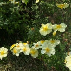 -河南省儿童医院(郑东院区)