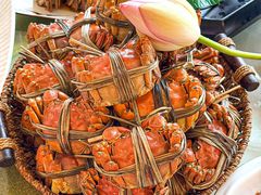 -七的湖·江南蟹舫·阳澄湖农家菜(蟹舫苑店)