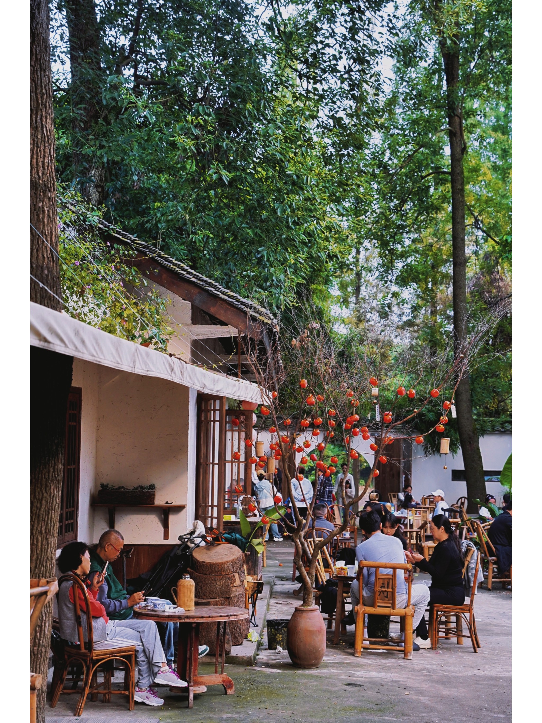 新津县太平场老街图片