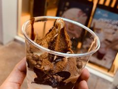 阿华田雪糕杯-喜茶(天津乐宾百货店)