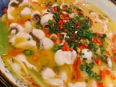 藤椒水煮鱼-成都娃娃花园餐厅 (南艺旗舰店)