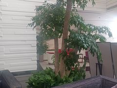 -天津海河悦榕庄·Lobby Lounge大堂吧