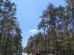 -黑龙江省森林植物园