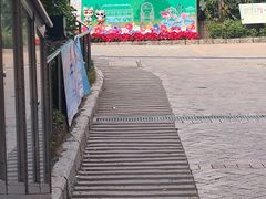 -九龙公园