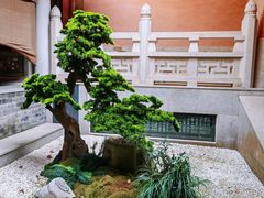 -灵谷景区
