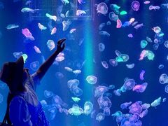 -海合安成都极地海洋公园