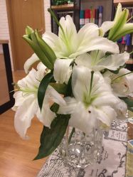 -FineYoga梵音瑜伽·普拉提