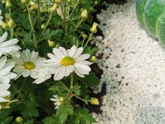 -汇龙潭