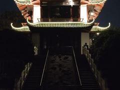 -桂湖森林公园