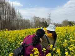 -桤木河湿地公园