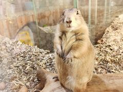 -海合安武汉极地海洋公园