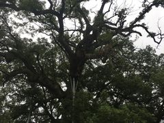 -新安江山水画廊风景区