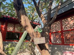 -北京鲁迅博物馆(北京新文化运动纪念馆鲁博馆区)