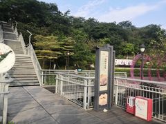 -佛山华盖山公园