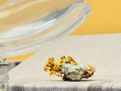 -湖南省地质博物馆