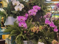-BoBloom花店(晶耀前滩店)