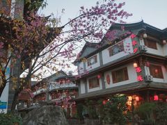 -云南民族村