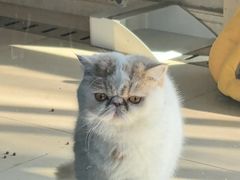 -锦府园·杭州小馆·创意杭帮菜(湖滨银泰in77店)