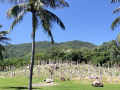 -三亚南山文化旅游区