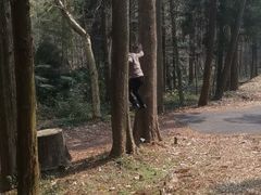 -东明山森林公园