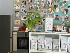 -爱妮康宠物医院·干细胞免疫细胞·肿瘤·心脏(张江店)