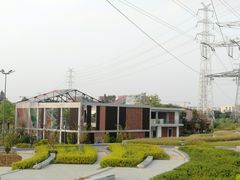 -王借岗森林公园