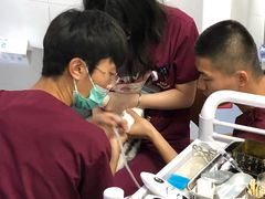 -美联众合爱康动物医院•复杂内科•肿瘤科•牙科•腔镜诊疗中心