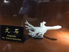 -青岛德国总督楼旧址博物馆