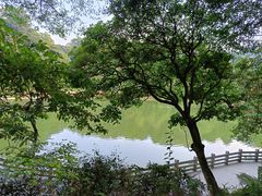 -广州市帽峰山景区