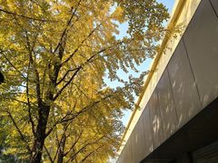 -北京大学口腔医院(魏公村总院)