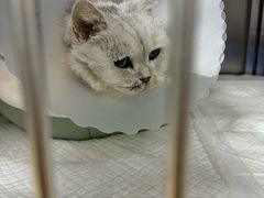 -美联众合动物医院·24h转诊中心