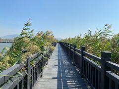 -芒洲湿地公园