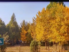 -香山公园
