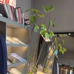 -ChenV西服礼服高级定制(市区养育巷店)