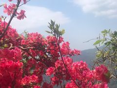 -木兰云雾山