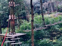 -梦幻奥陶纪景区