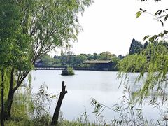 -苏州太湖国家湿地公园
