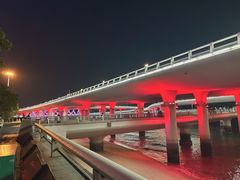 -演武大桥观景平台