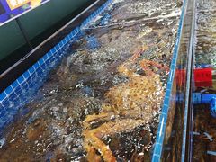 -旺鲜渔港连锁餐厅·珠海特色美食地标(爱情邮局店)