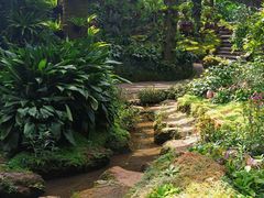 -深圳仙湖植物园